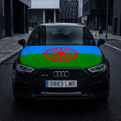 Bandera elástica
